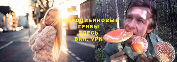 тгк Алексин