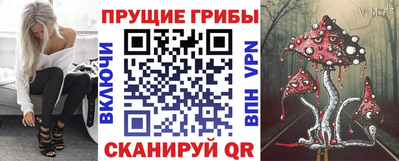 Псилоцибиновые грибы Psilocybe Крым